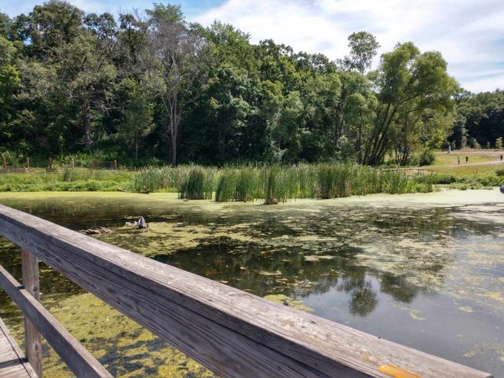 Cottage Grove, Minnesota